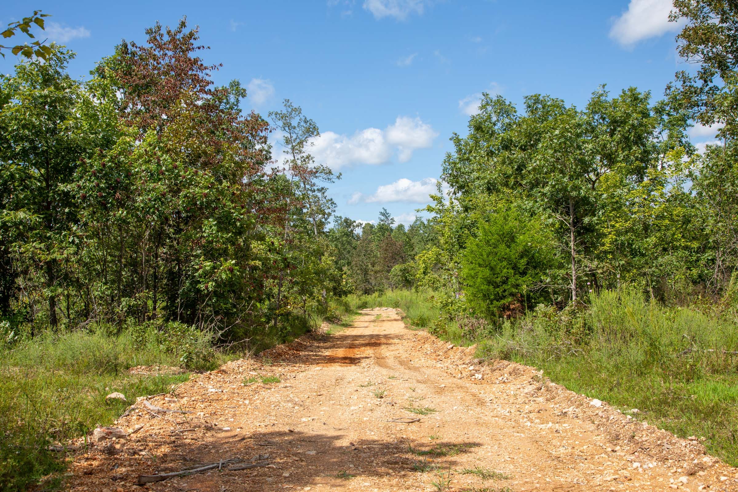 Borgmann’s Hollow Phase III Tract 79 photo 1