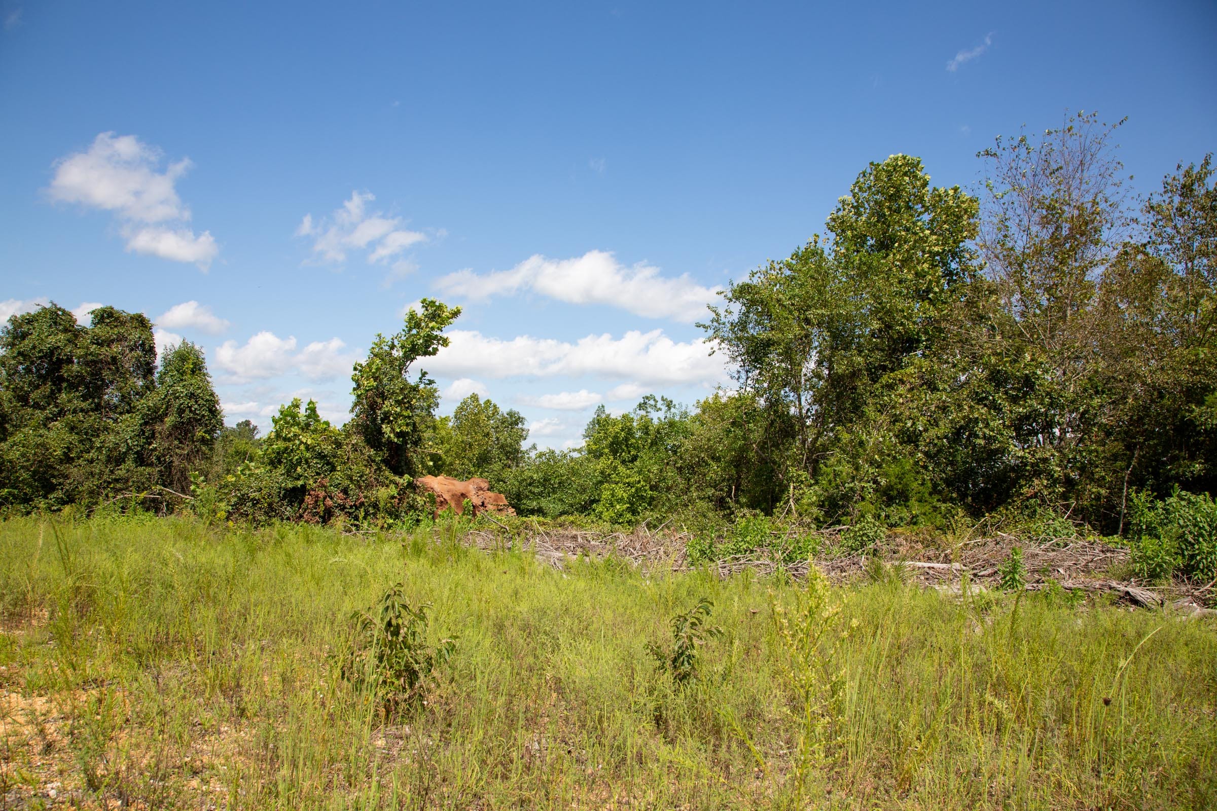 Borgmann’s Hollow Phase III Tract 79 photo 9