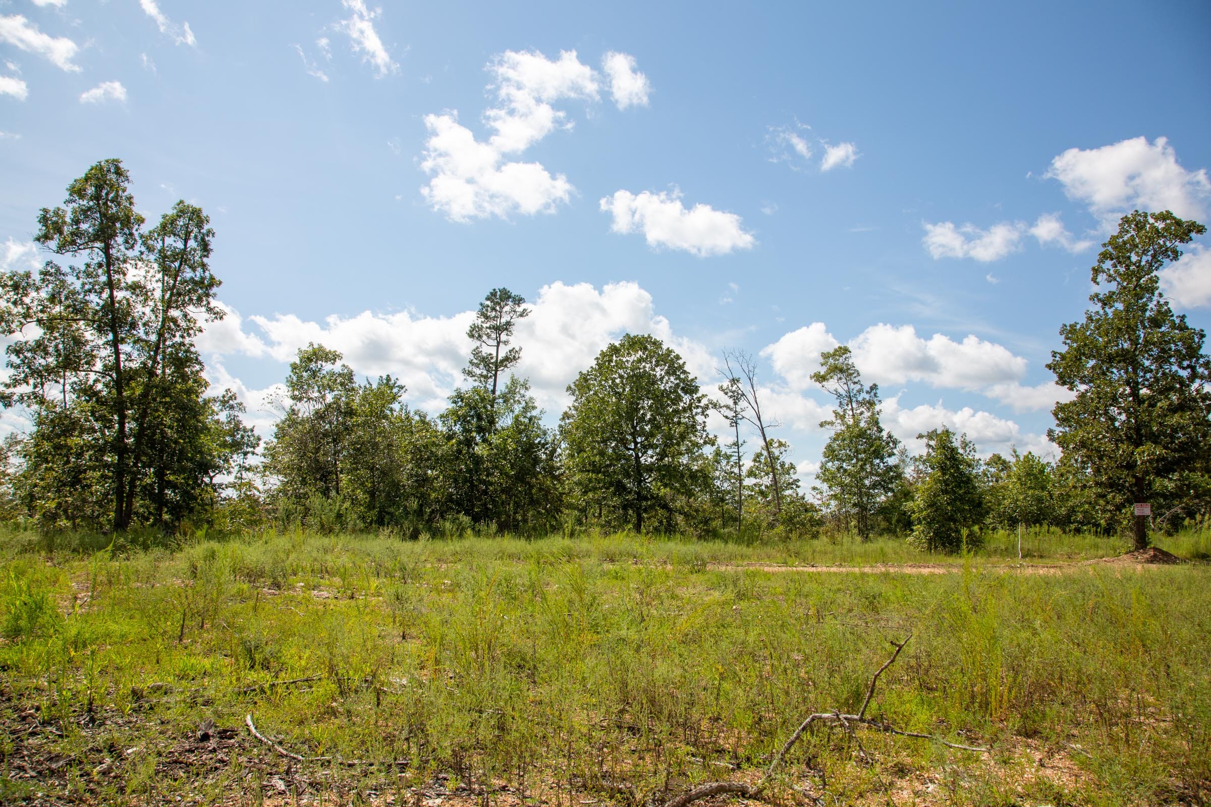 Borgmann’s Hollow Phase III Tract 79 photo 11
