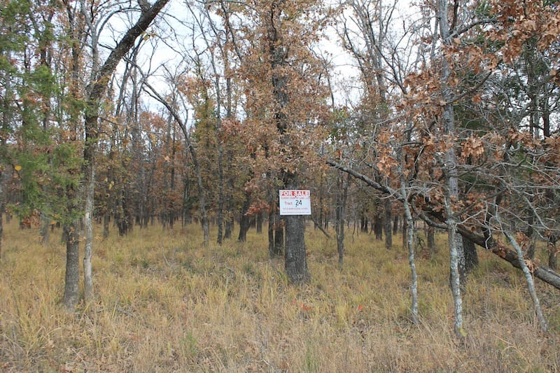 Indian Ridge – Phase I Tract 24 photo 1