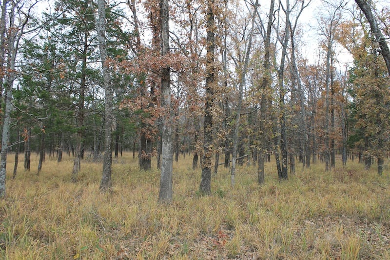 Indian Ridge – Phase I Tract 24 photo 3