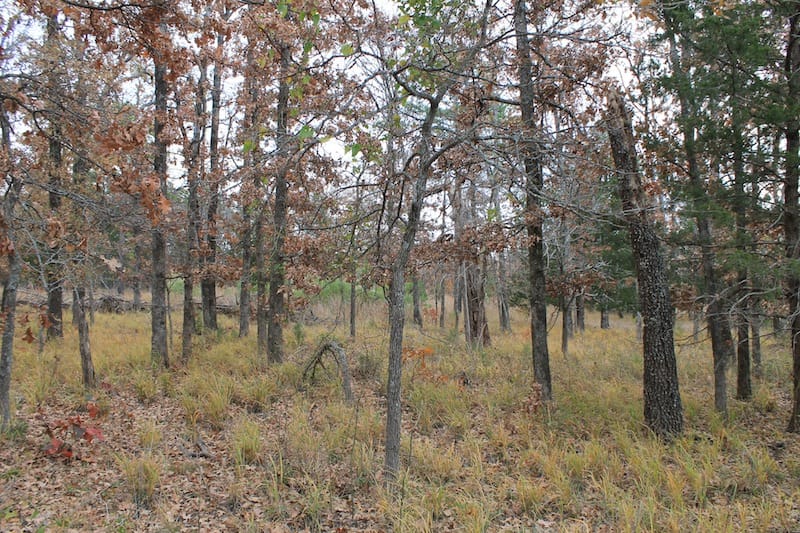 Indian Ridge – Phase I Tract 24 photo 4