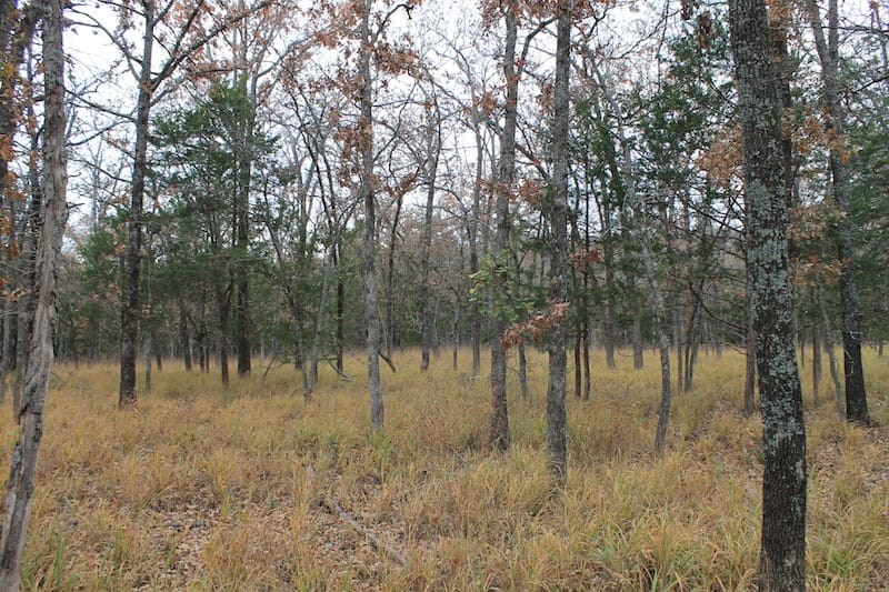 Indian Ridge – Phase I Tract 24 photo 5