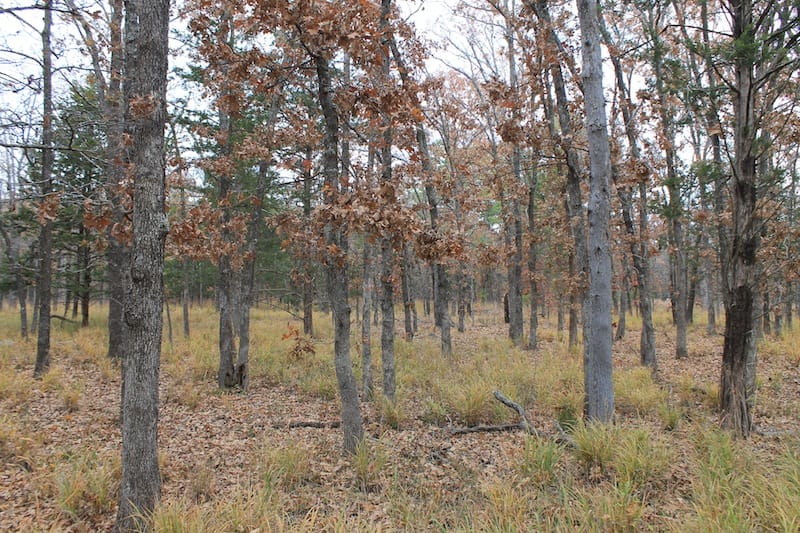 Indian Ridge – Phase I Tract 24 photo 6