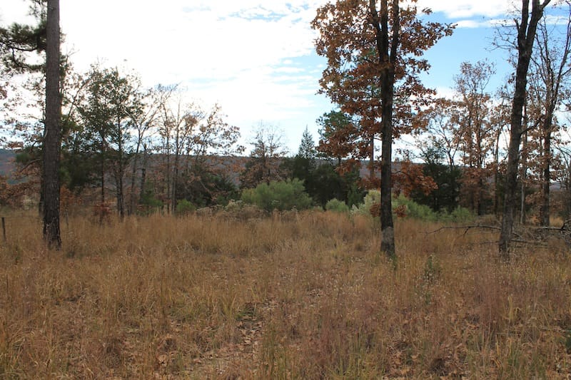 Indian Ridge – Phase I Tract 24 photo 8