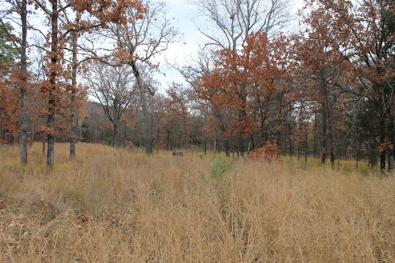 Indian Ridge – Phase I Tract 24 photo 9