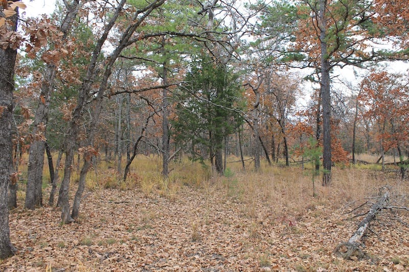 Indian Ridge – Phase I Tract 24 photo 10