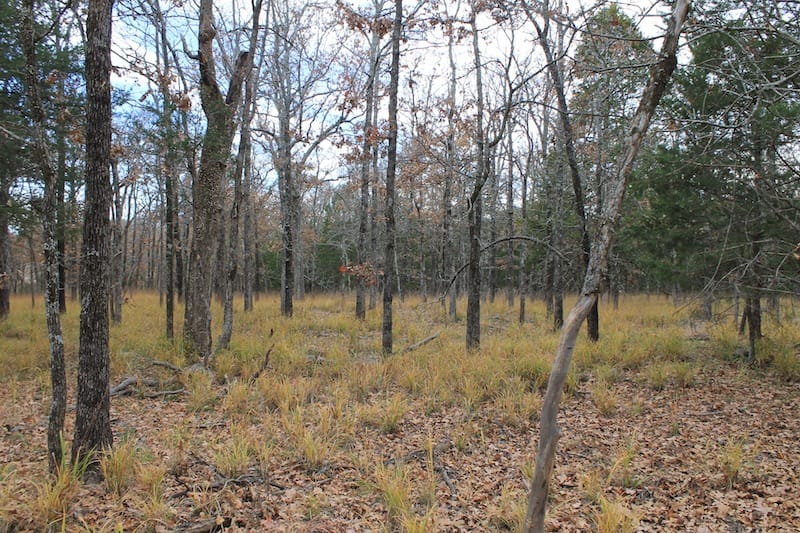 Indian Ridge – Phase I Tract 24 photo 11