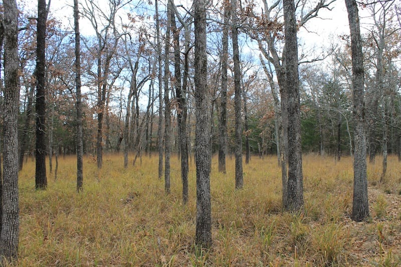 Indian Ridge – Phase I Tract 24 photo 12