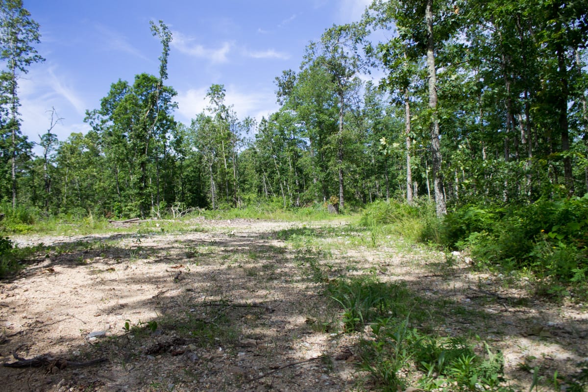 Timber Crossing Tract 28 photo 2
