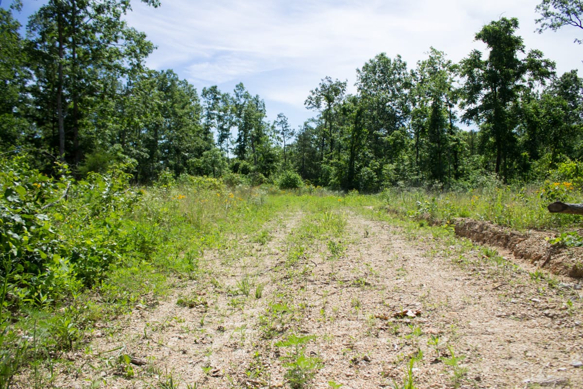 Timber Crossing Tract 28 photo 5