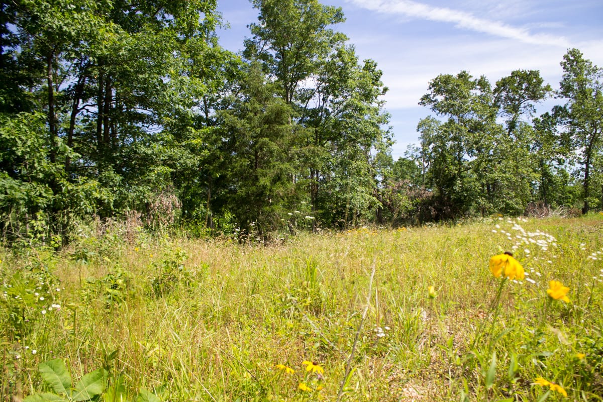 Timber Crossing Tract 28 photo 11