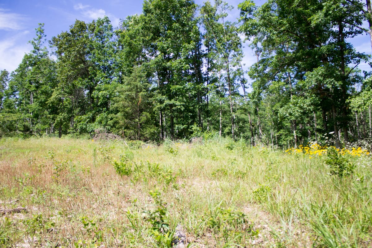 Timber Crossing Tract 28 photo 16