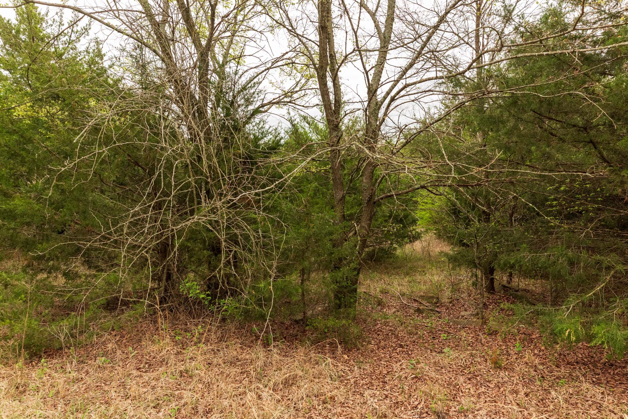 Moonrise Meadows Tract 21 photo 2