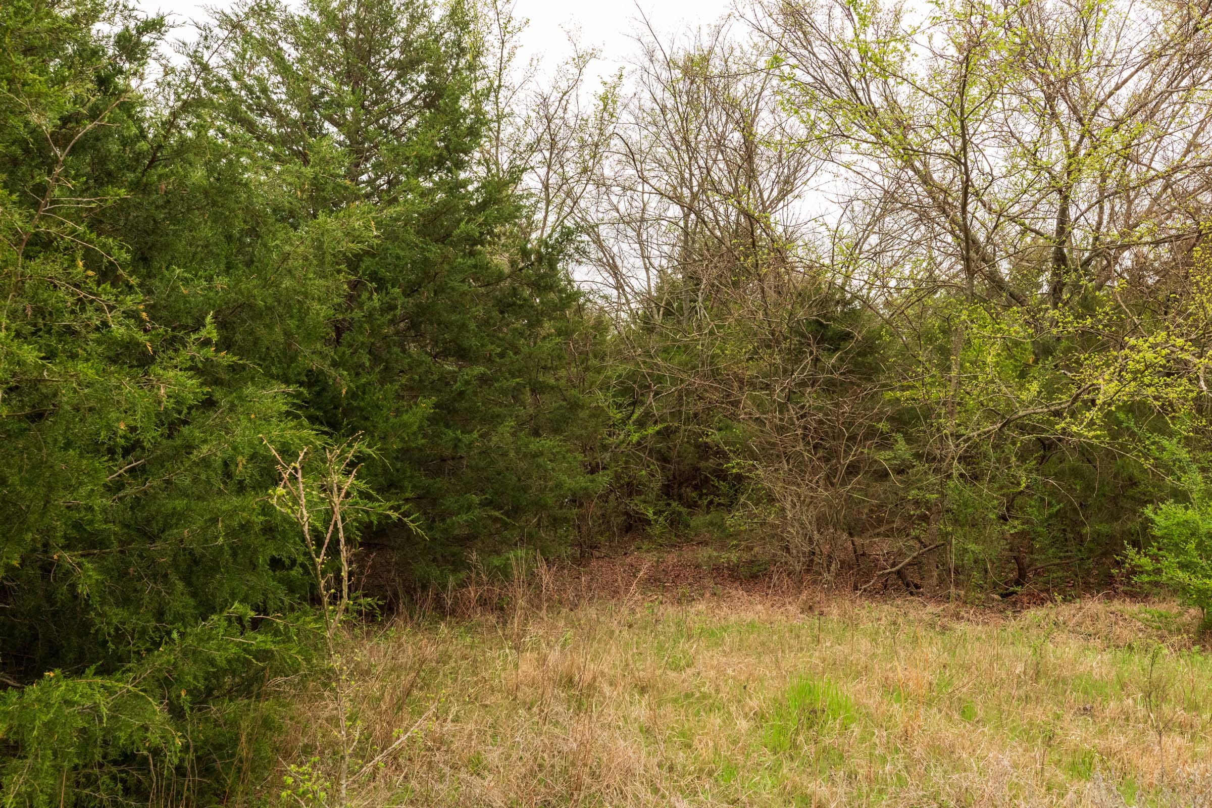 Moonrise Meadows Tract 21 photo 4