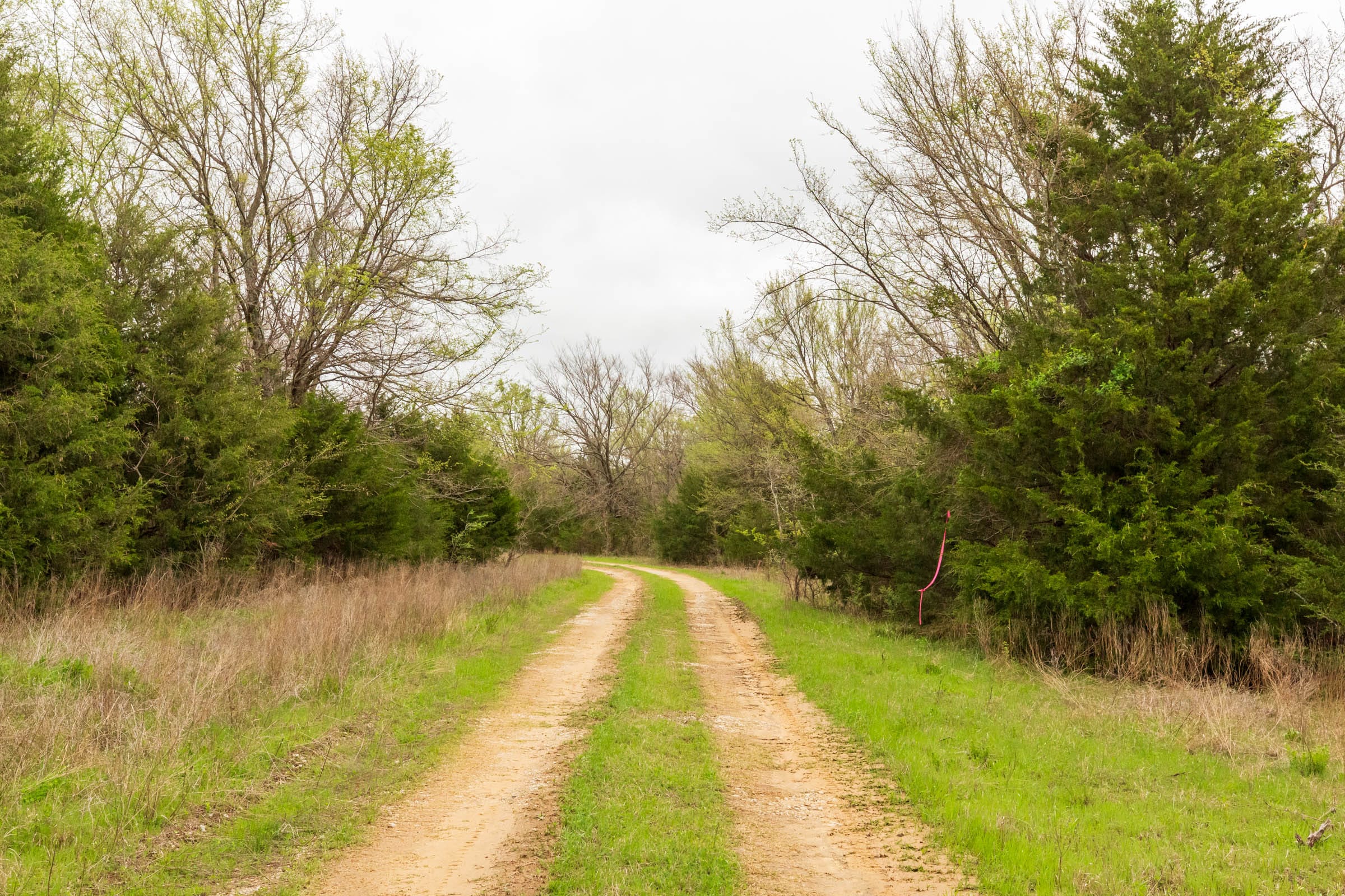 Moonrise Meadows Tract 21 photo 5