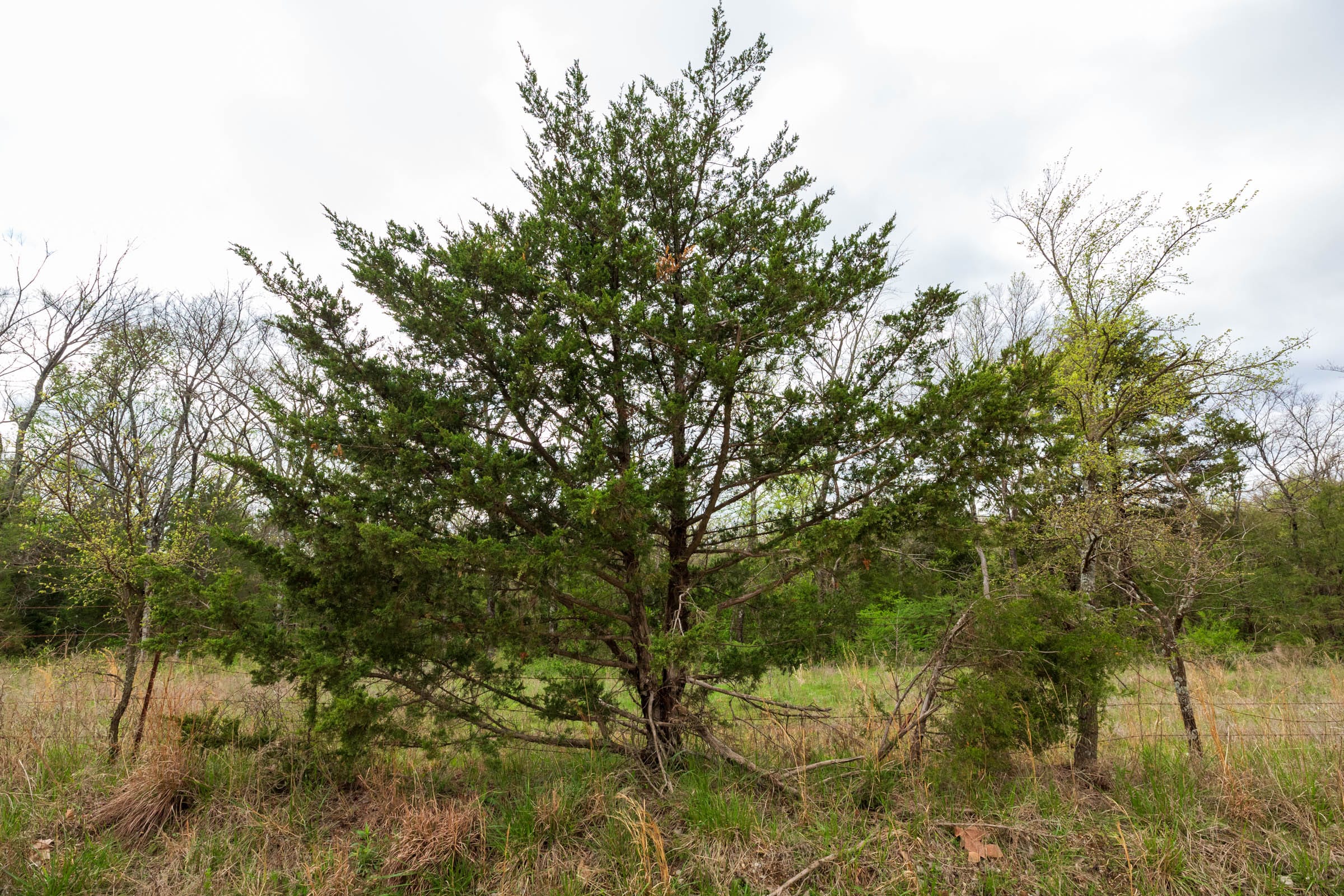 Moonrise Meadows Tract 21 photo 11