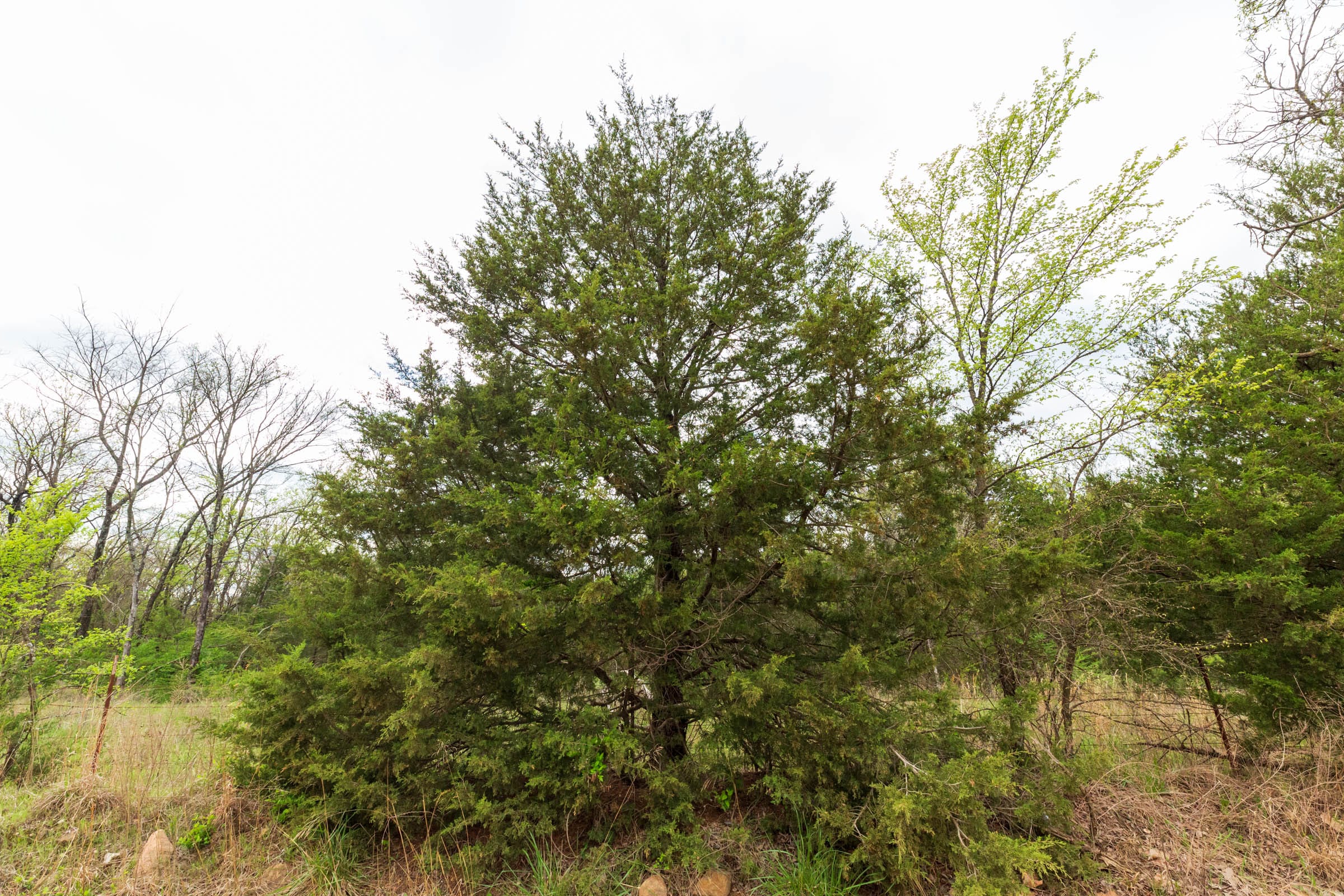 Moonrise Meadows Tract 21 photo 9