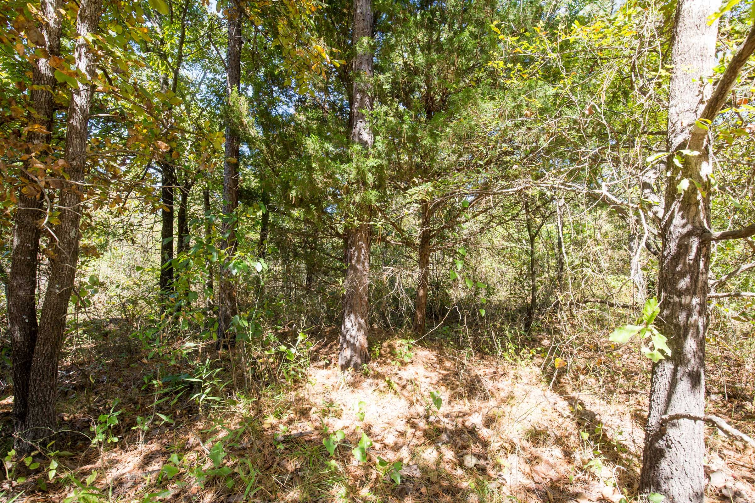 Stone Bridge Phase I Tract 24 photo 6