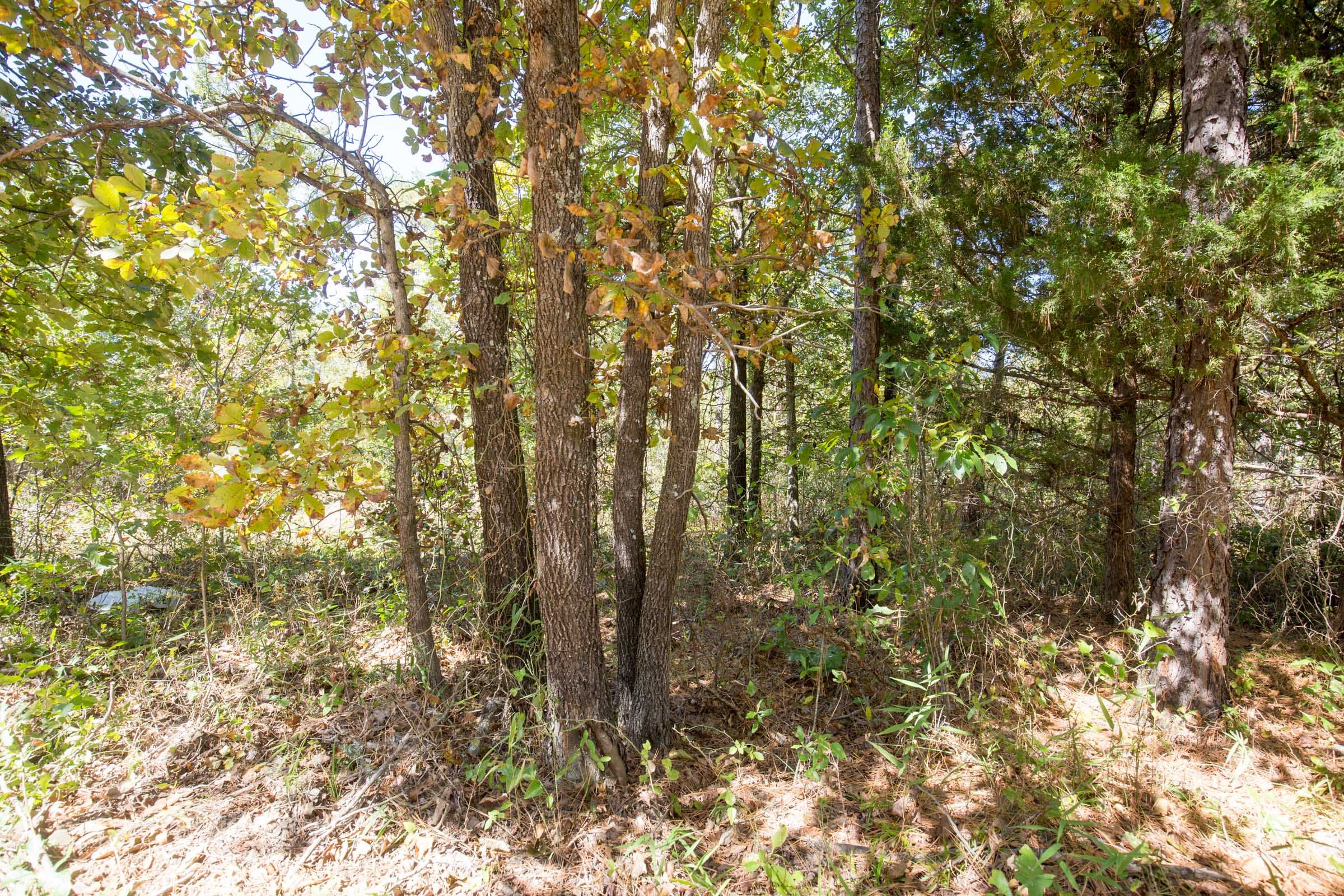 Stone Bridge Phase I Tract 24 photo 7