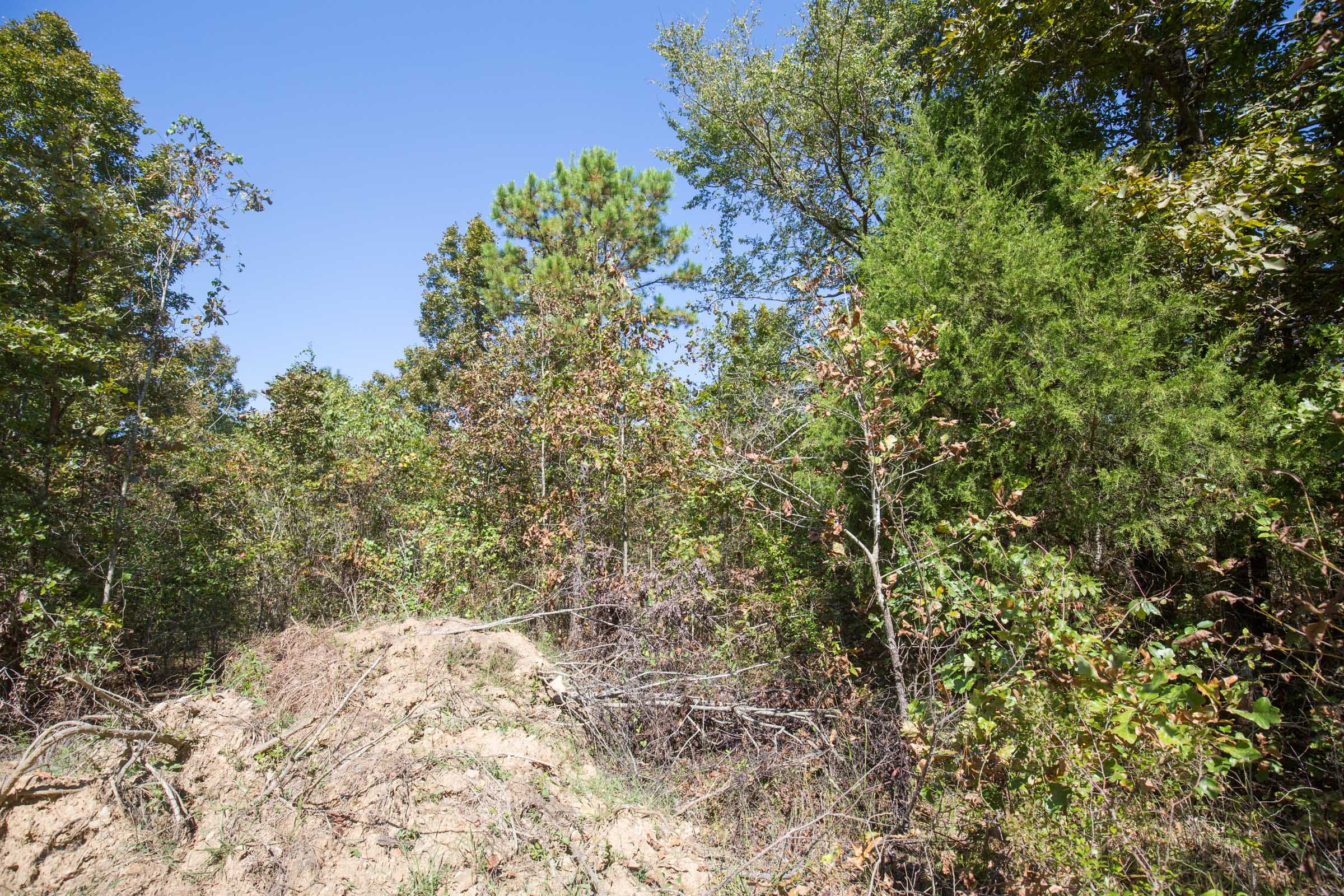 Stone Bridge Phase I Tract 24 photo 8