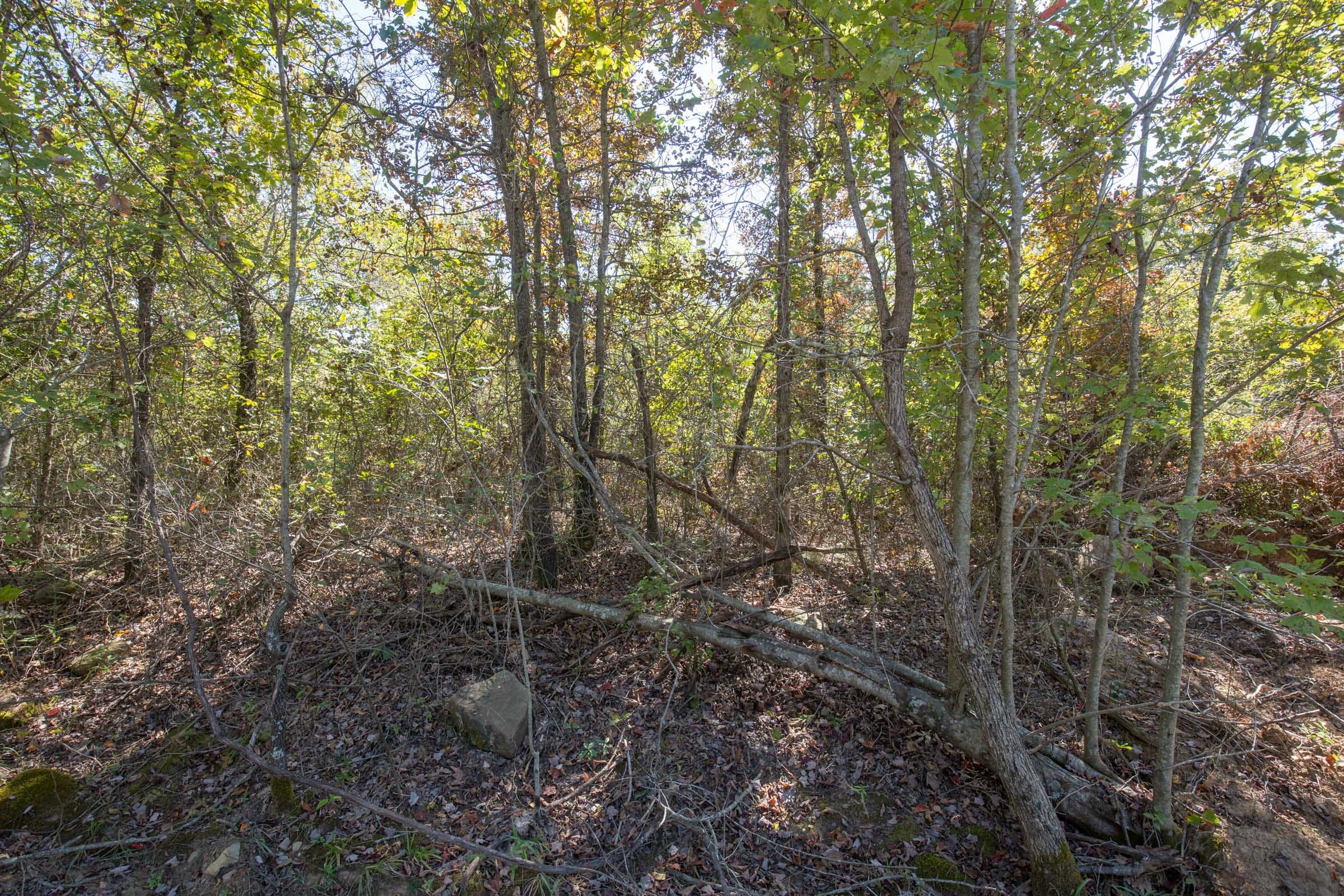 Stone Bridge Phase I Tract 24 photo 9