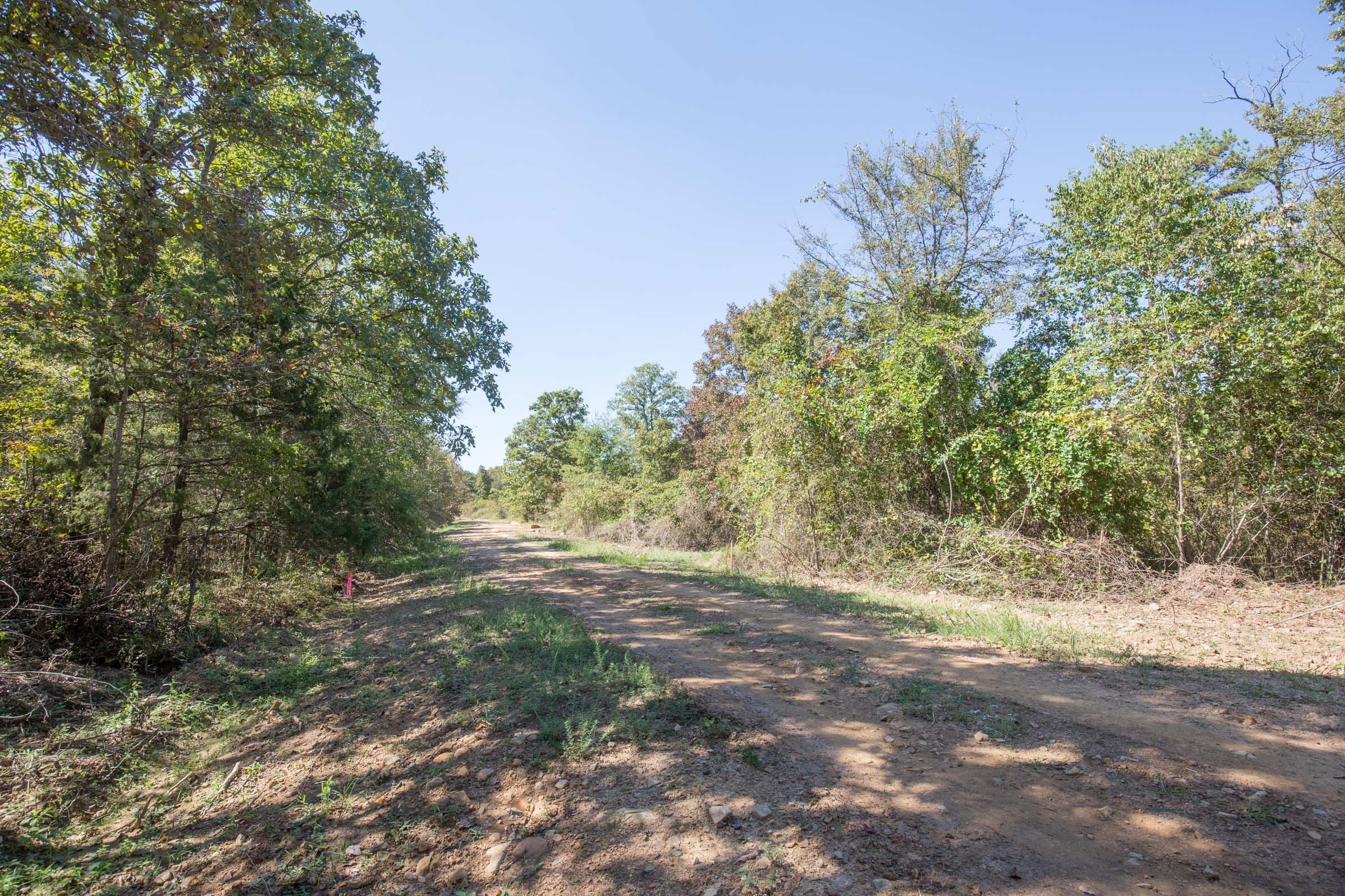 Stone Bridge Phase I Tract 24 photo 10