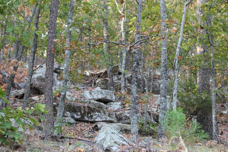 Trophy Ridge Phase II Tract 62 photo 5