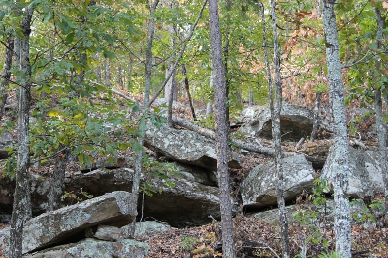 Trophy Ridge Phase II Tract 62 photo 6