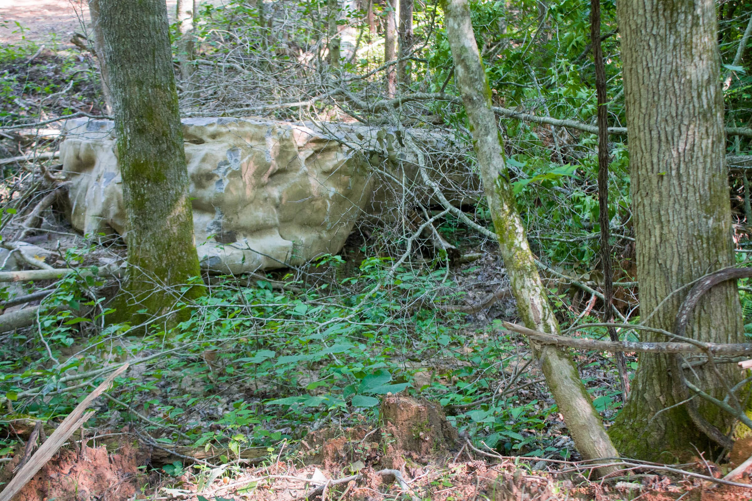 Bluewater Ridge Tract 25 photo 2