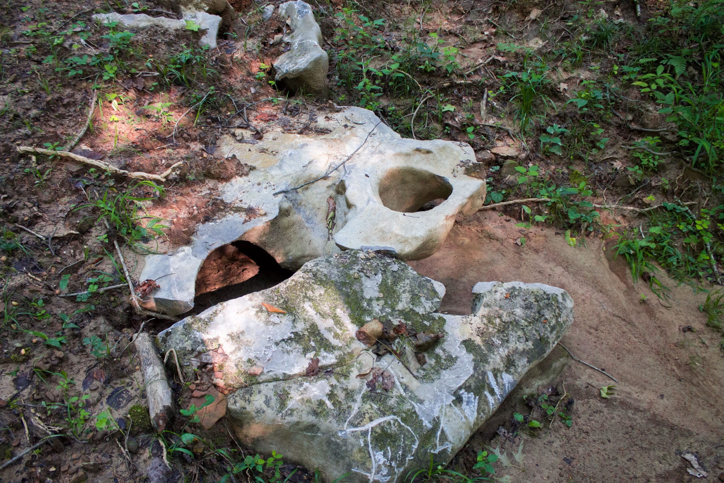 Bluewater Ridge Tract 25 photo 3