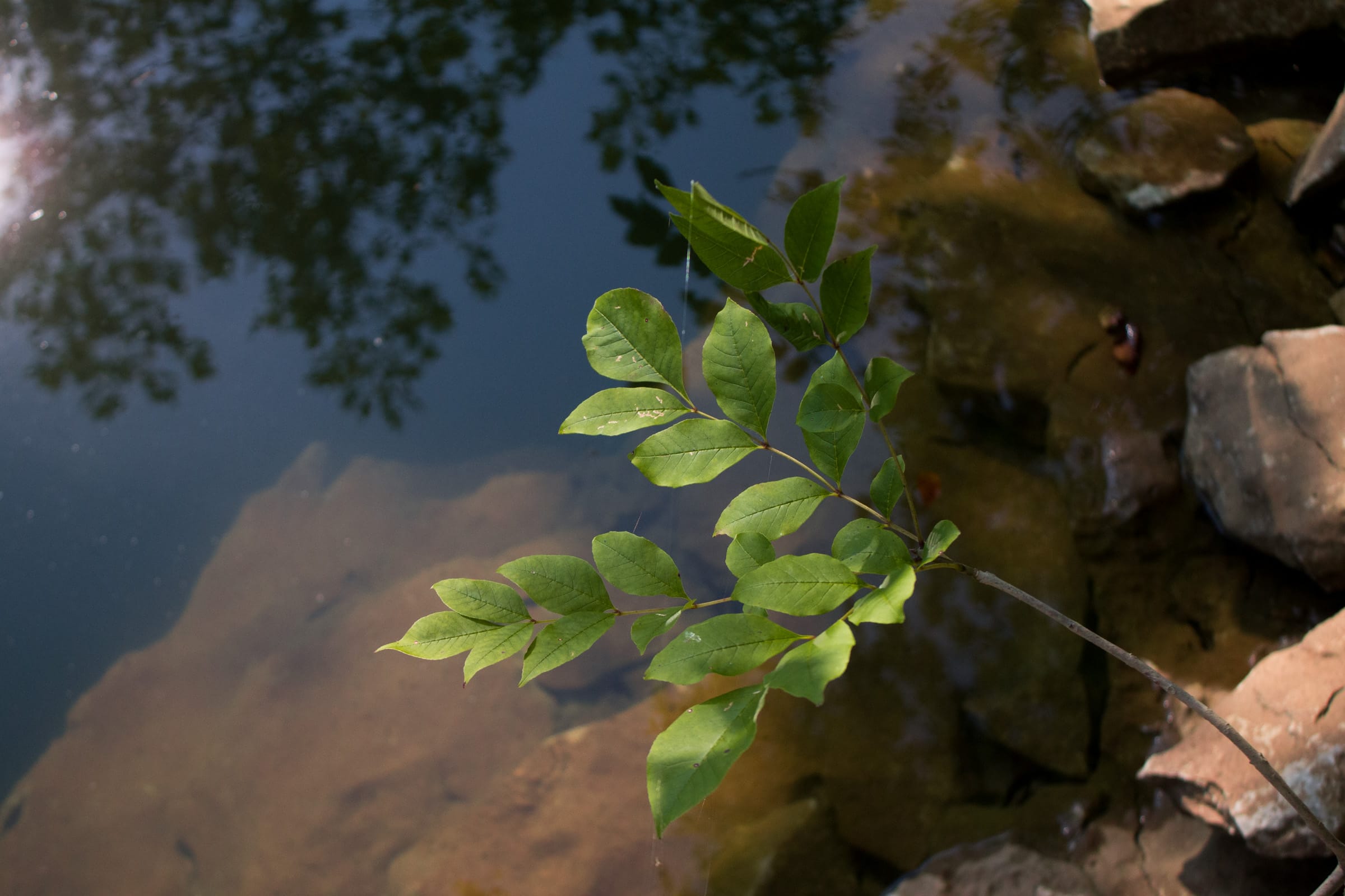 Bluewater Ridge Tract 25 photo 13