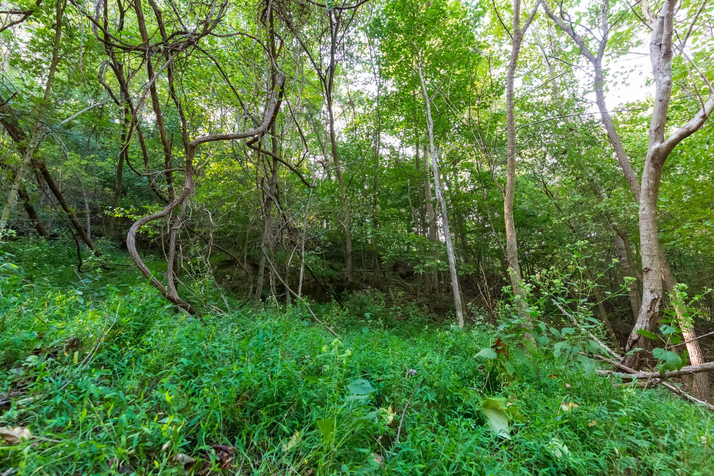 Redemption Ridge Tract 17 photo 2