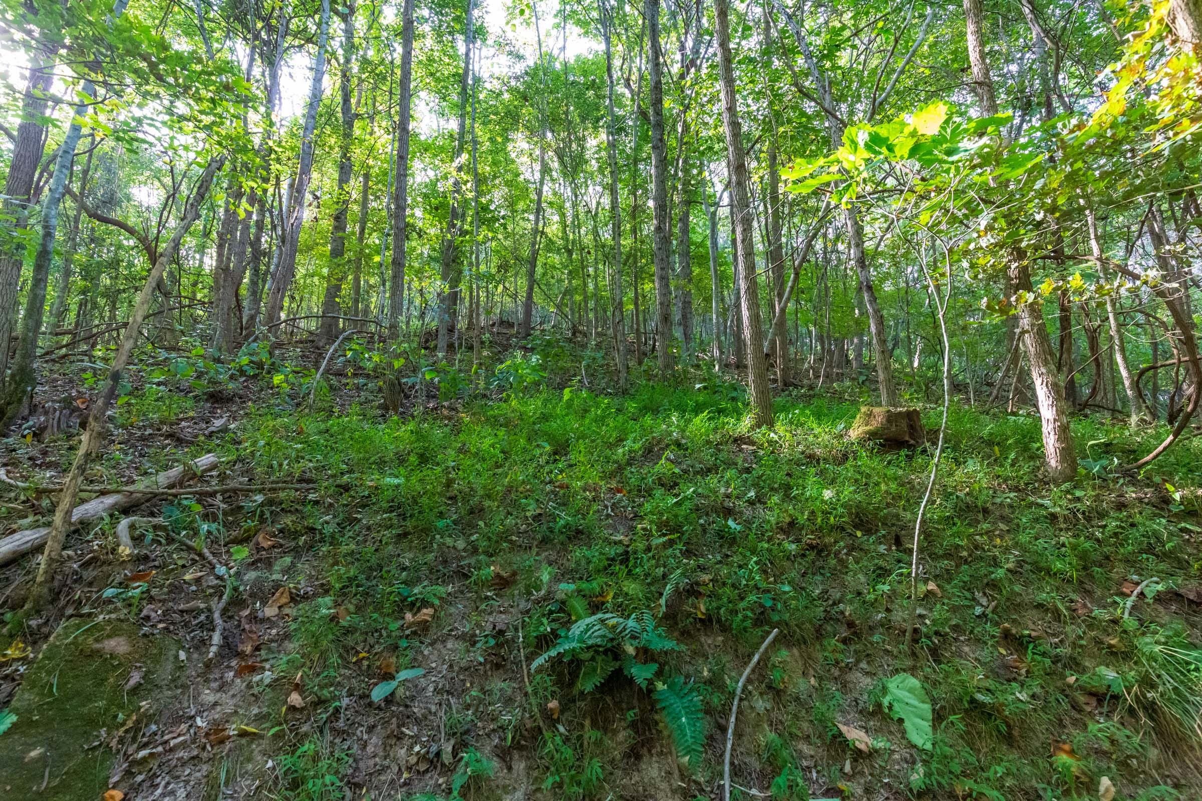Redemption Ridge Tract 17 photo 4