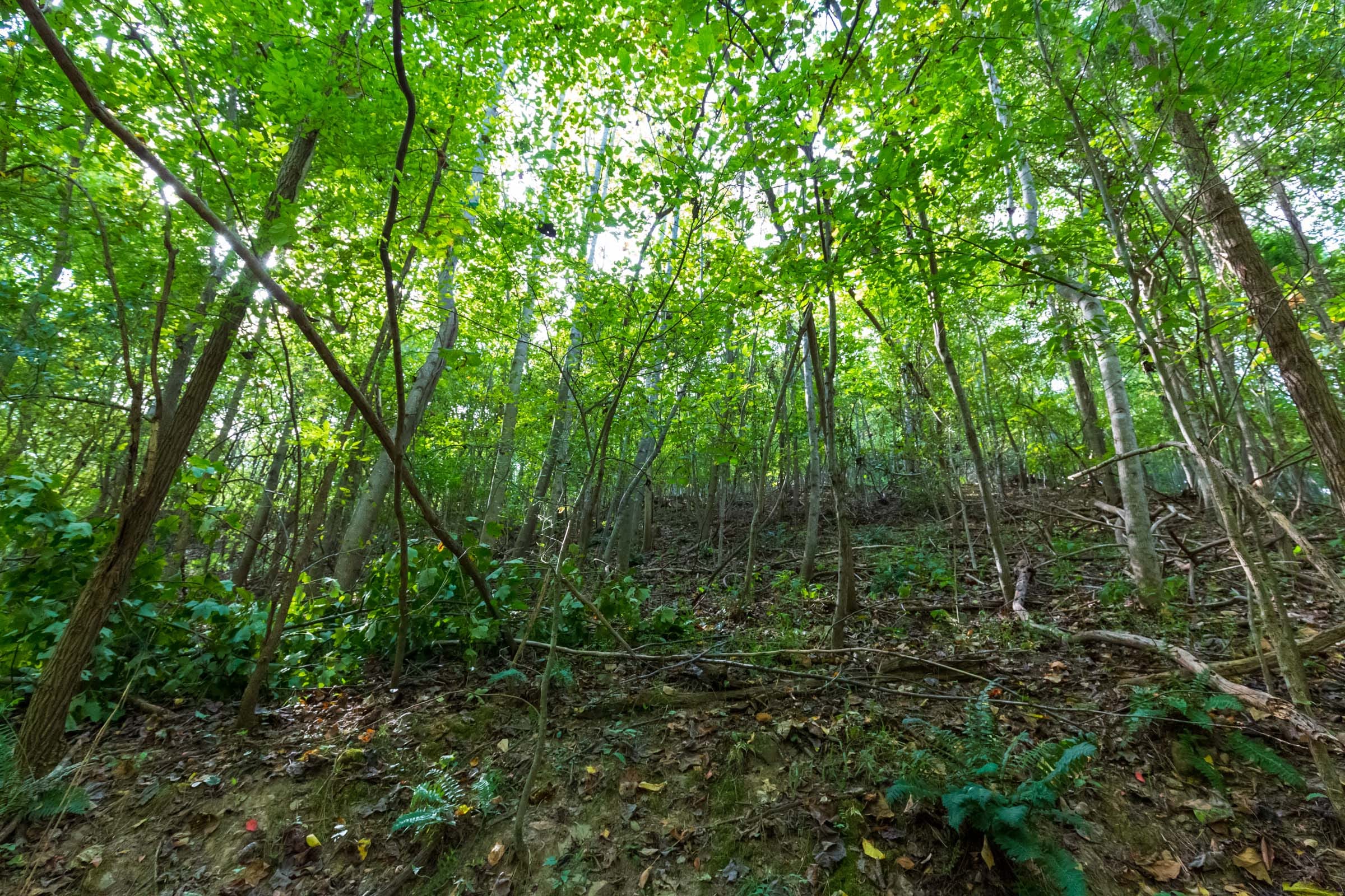 Redemption Ridge Tract 17 photo 10