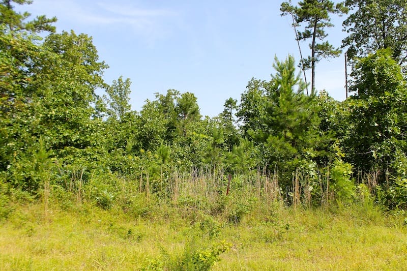 Green Mountain Ranch Tract 18 photo 1