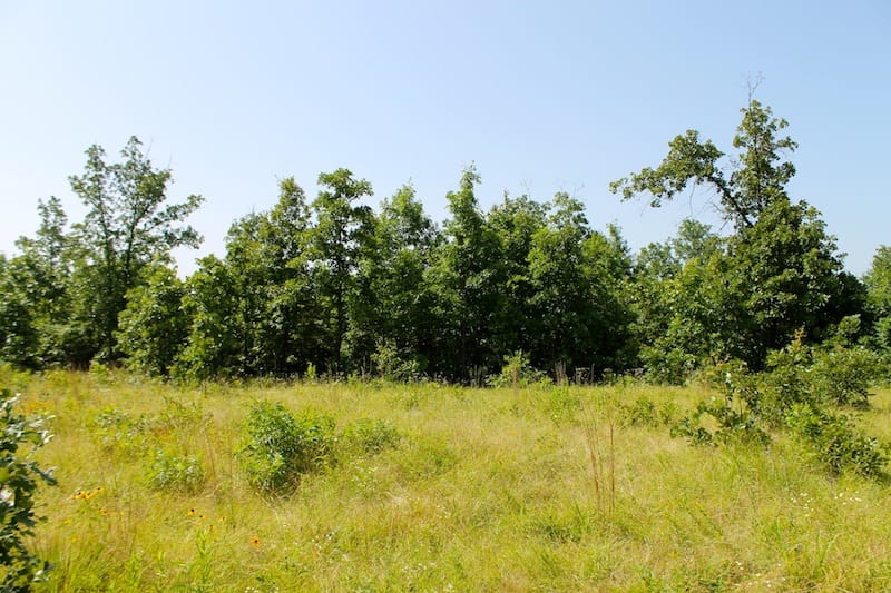 Green Mountain Ranch Tract 18 photo 4