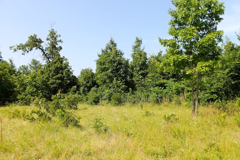 Green Mountain Ranch Tract 18 photo 5