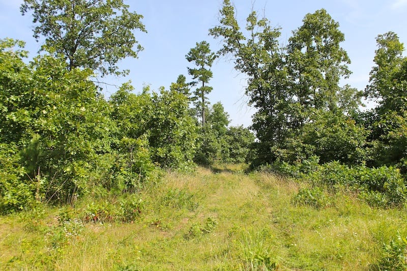 Green Mountain Ranch Tract 18 photo 6