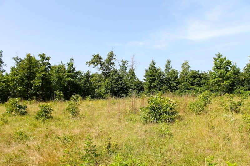 Green Mountain Ranch Tract 18 photo 8