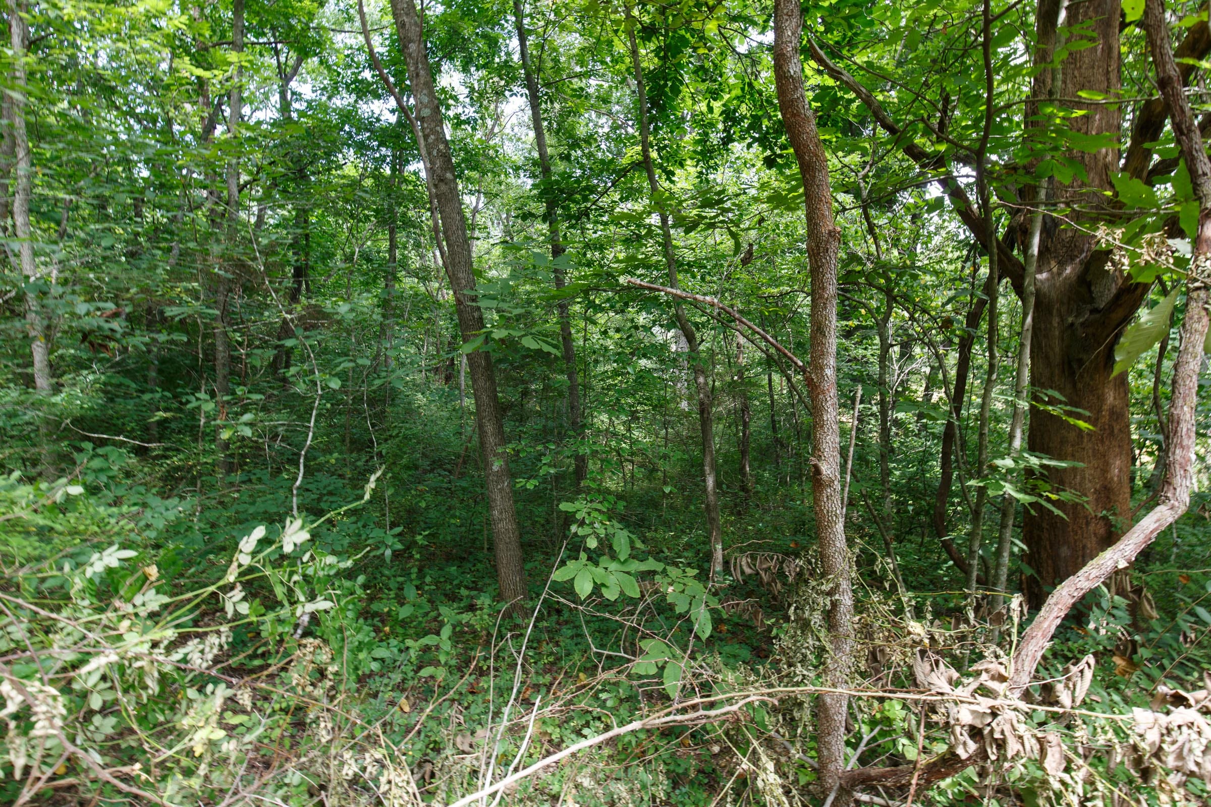 Spring Lake Plat 4 Tract 64 photo 7