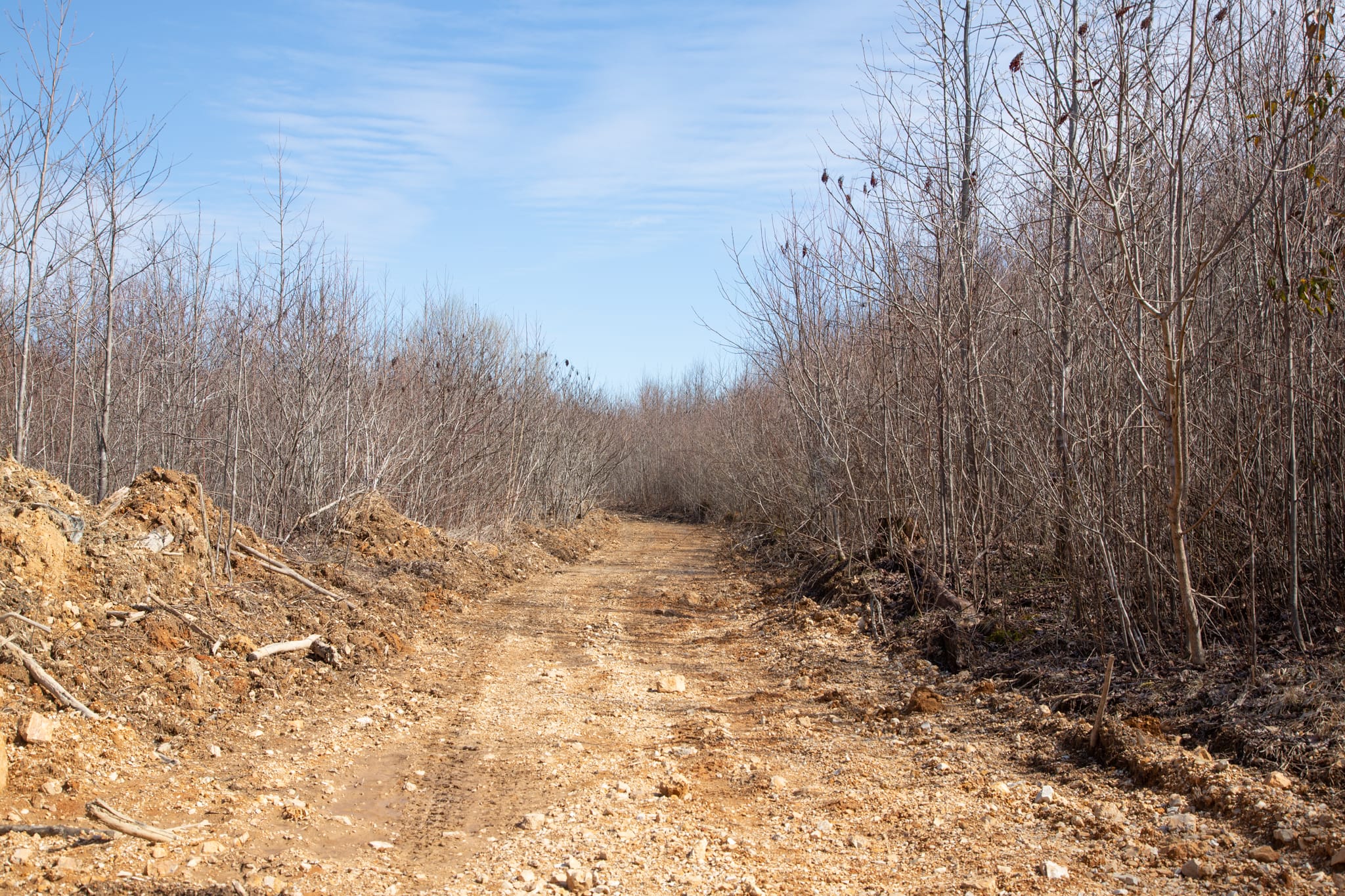 Southwind Ranch Tract 22 photo 8
