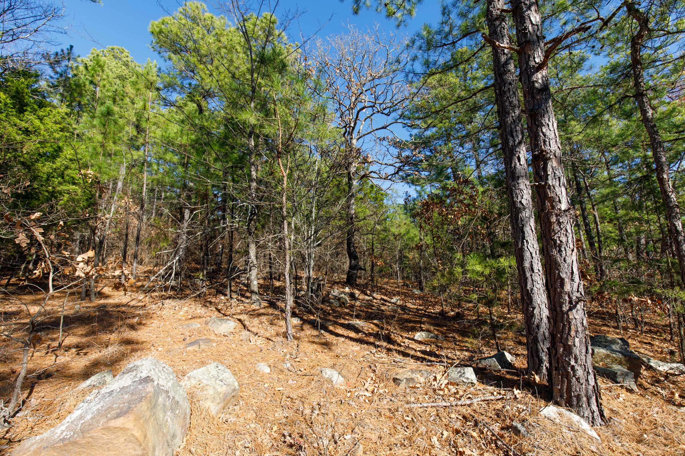 Stone Bridge Phase II Tract 124 photo 2