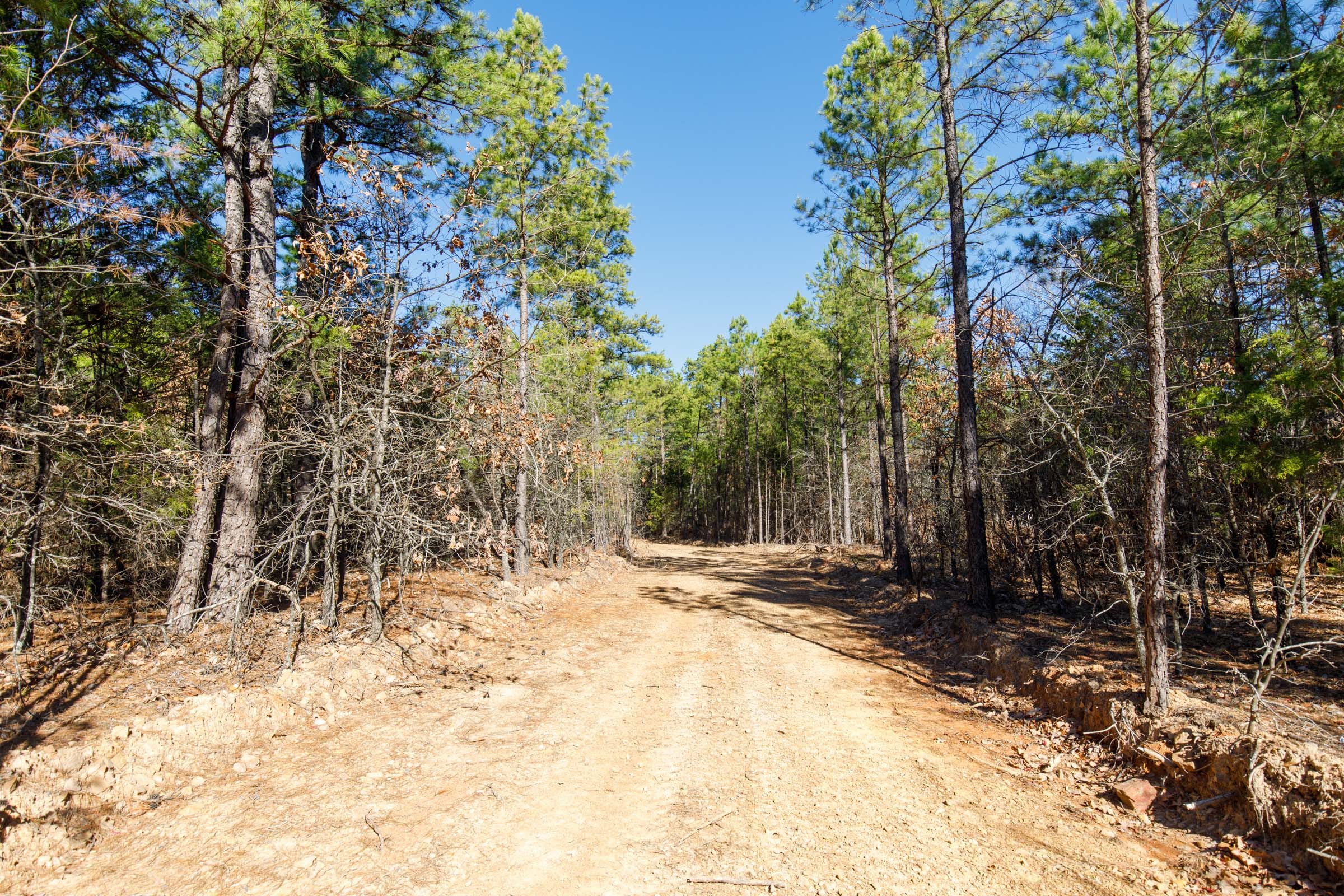 Stone Bridge Phase II Tract 124 photo 1