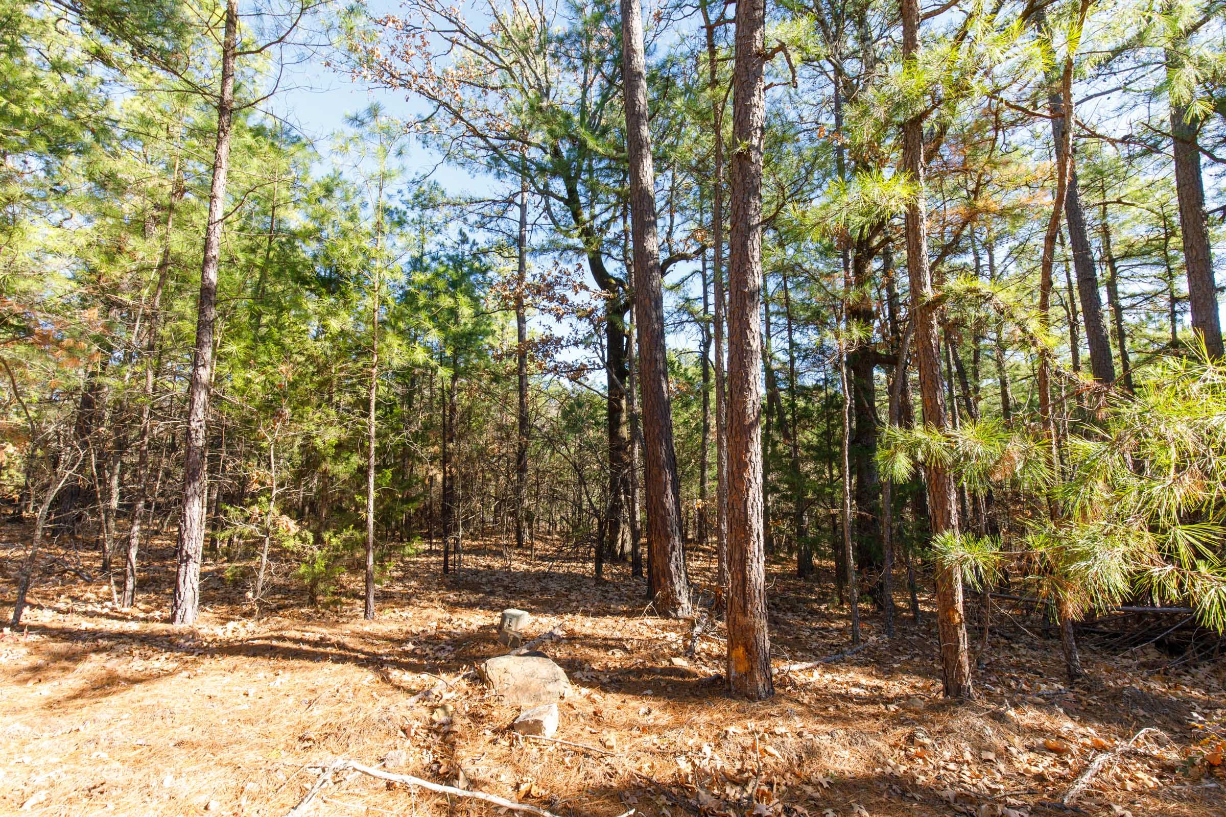 Stone Bridge Phase II Tract 124 photo 5
