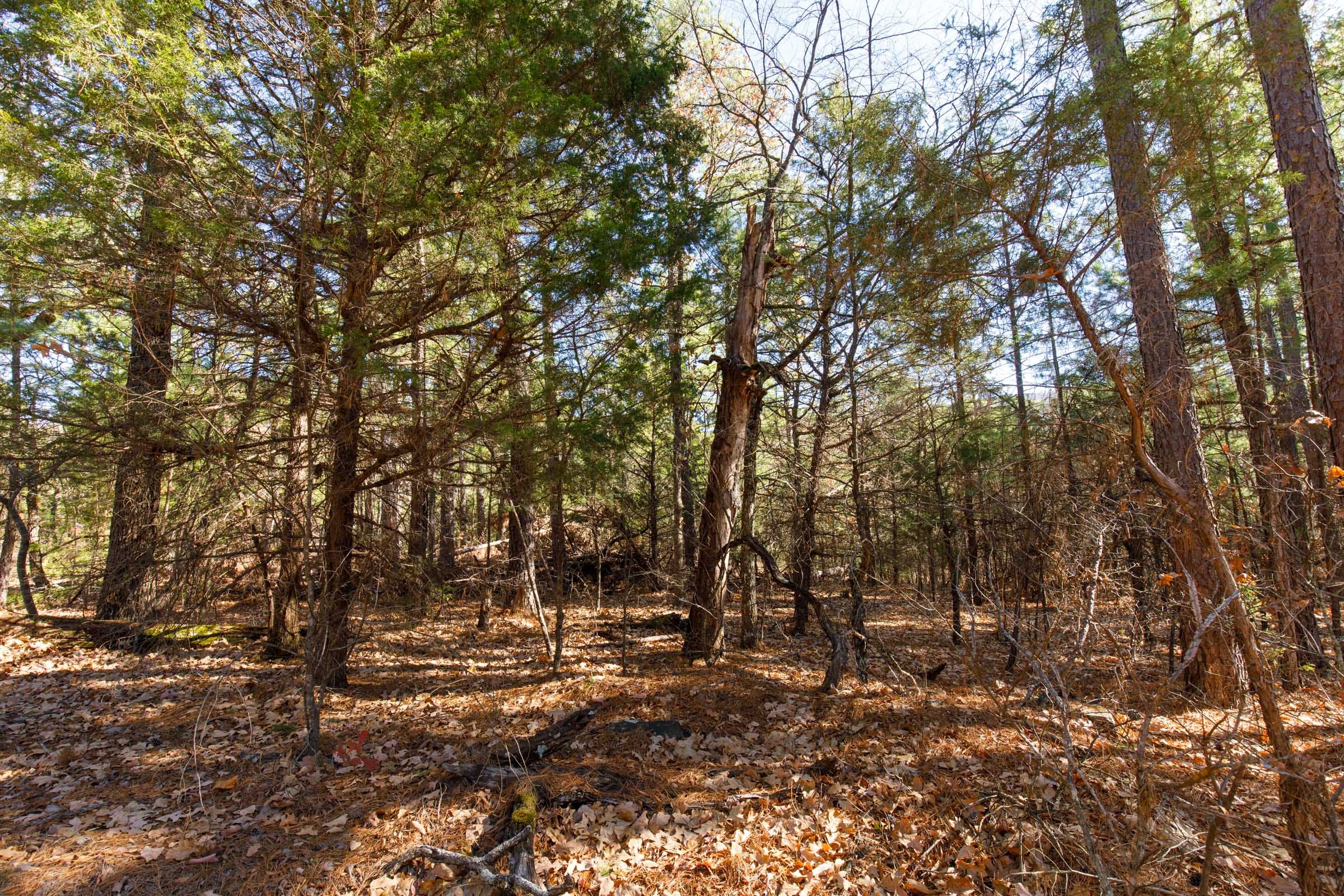 Stone Bridge Phase II Tract 124 photo 6