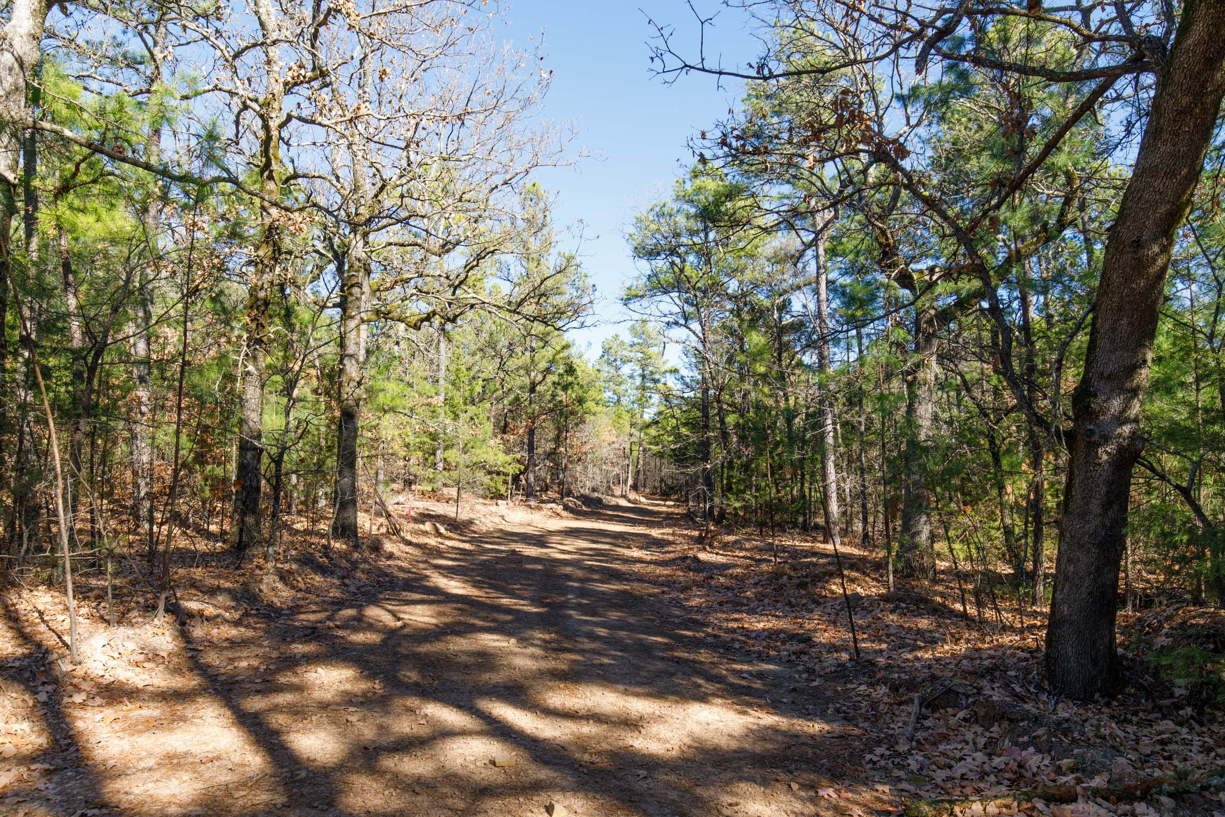 Stone Bridge Phase II Tract 124 photo 7