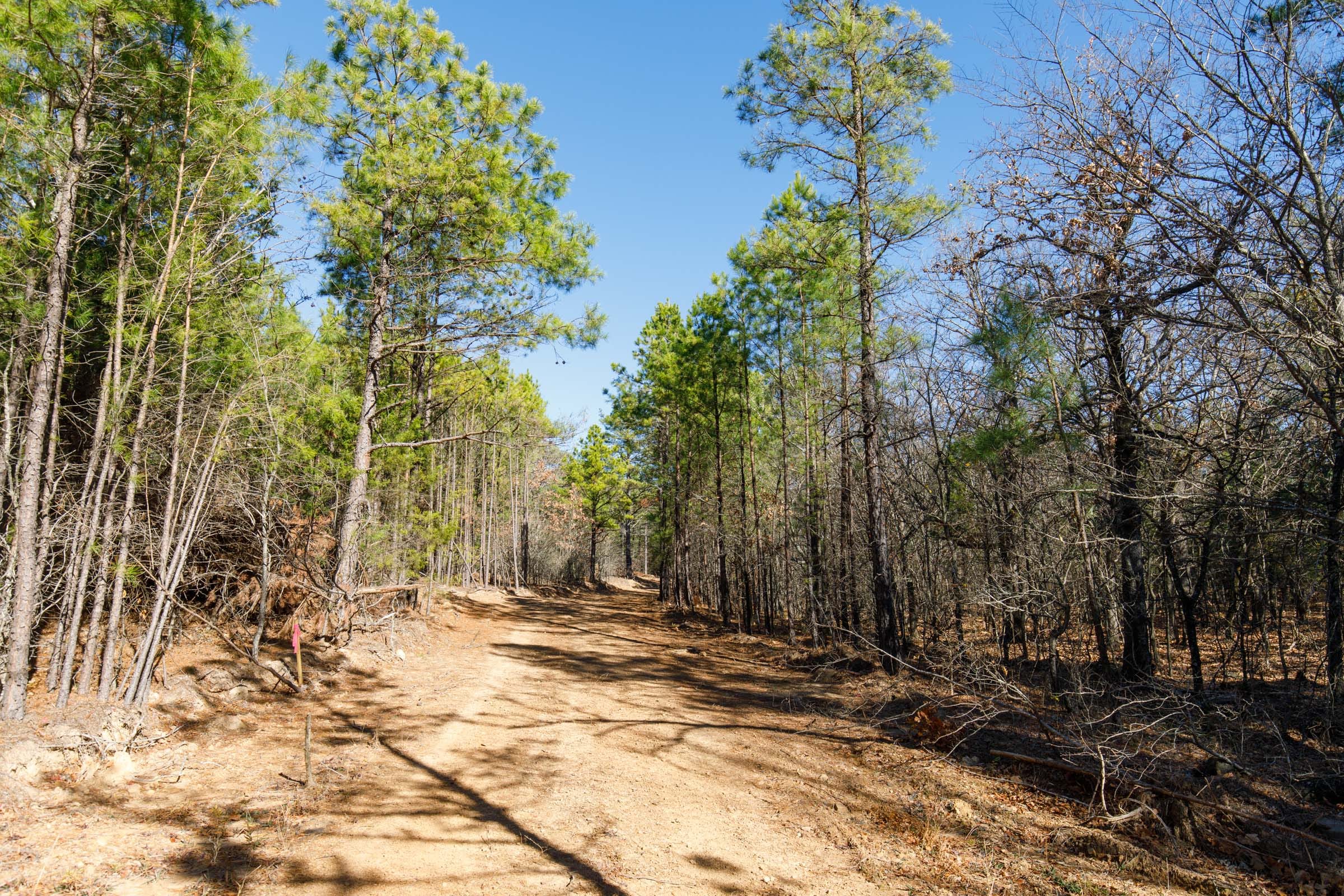 Stone Bridge Phase II Tract 124 photo 8