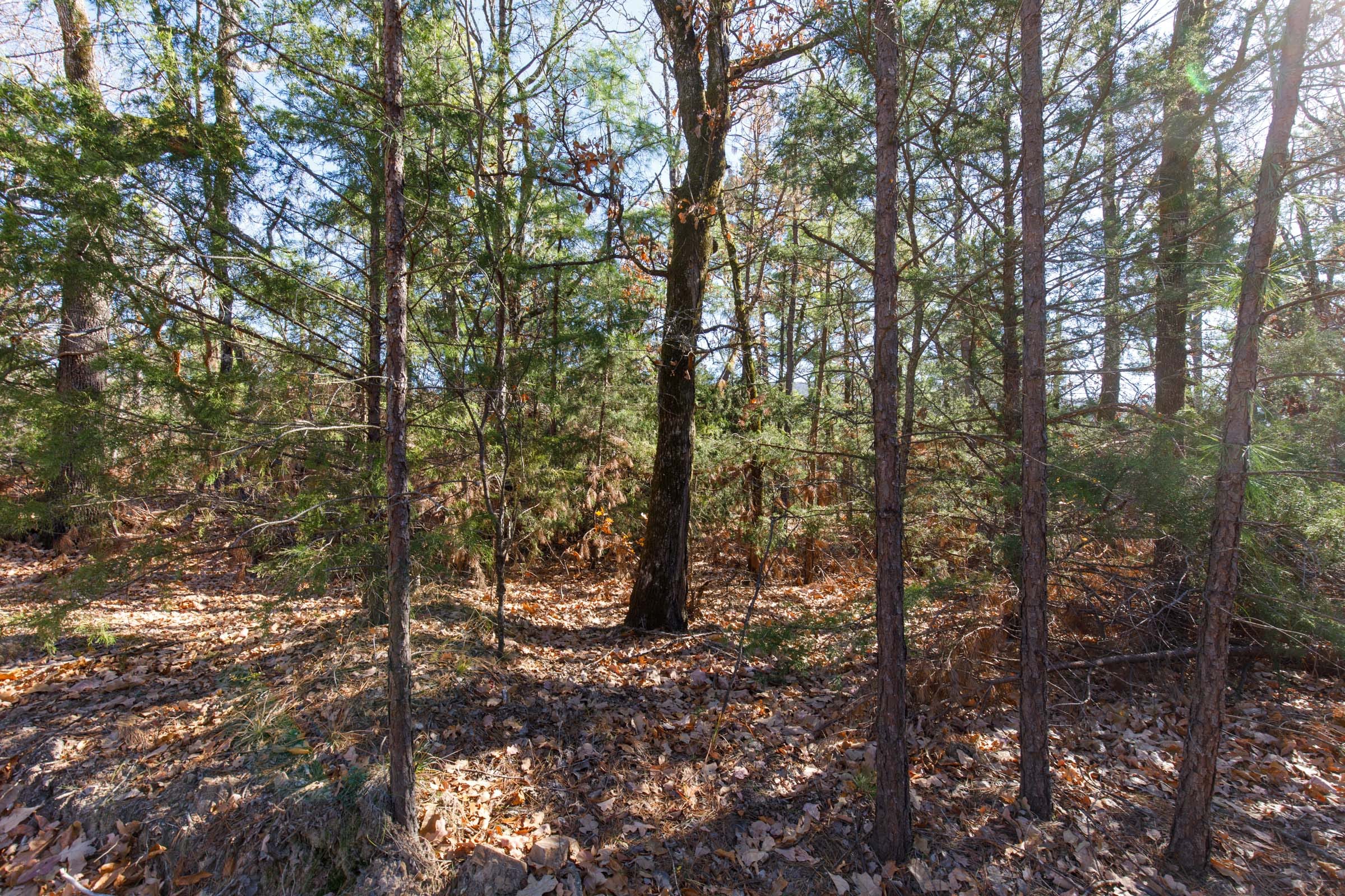 Stone Bridge Phase II Tract 124 photo 10