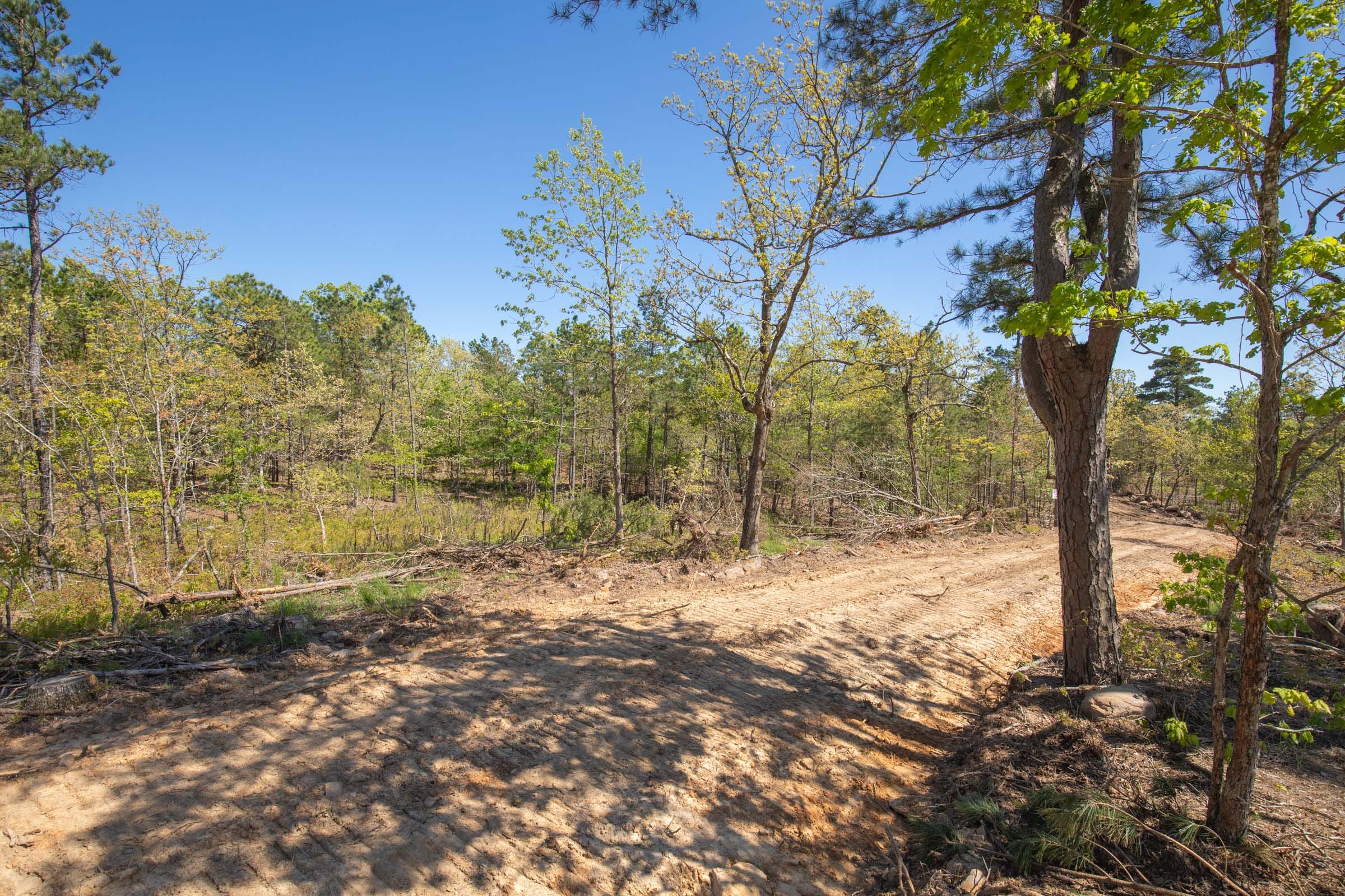 Eagle’s Nest Tract 20 photo 14